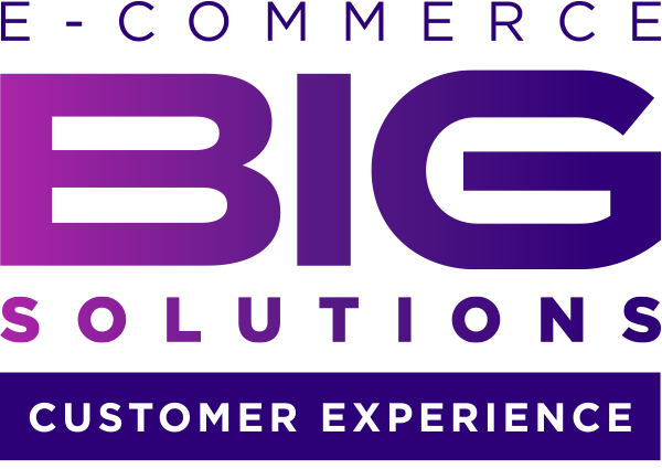 logo big-solution